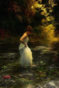 Emily Dickinson - There is a solitude of space