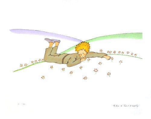 The Little Prince Quote “One must command from each what each can perform”