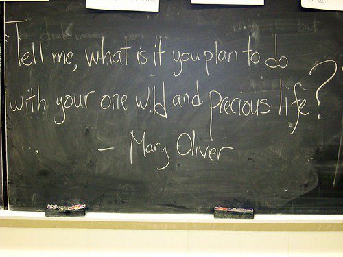 Wild and Precious Life quote by Mary Oliver