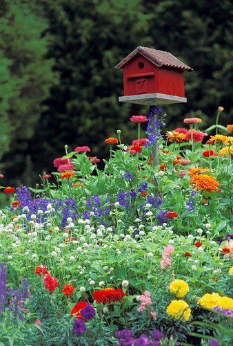 Birdhouse and flowers