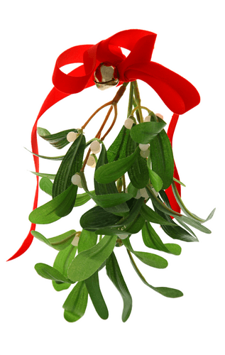 Mistletoe a Christmas poem by Walter de la Mare